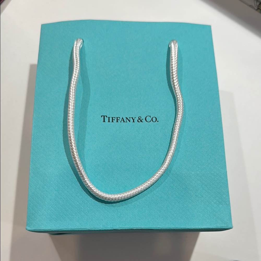 Tiffany & Co. Blue Gift Bag